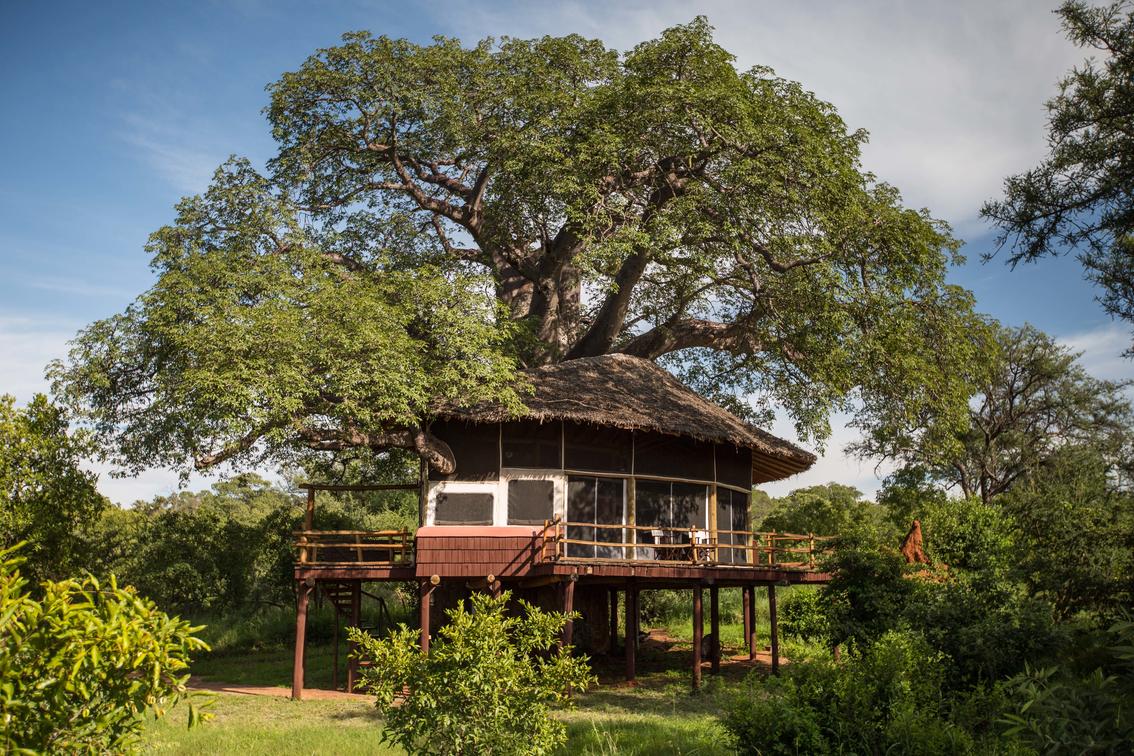 Tarangire treetop lodge