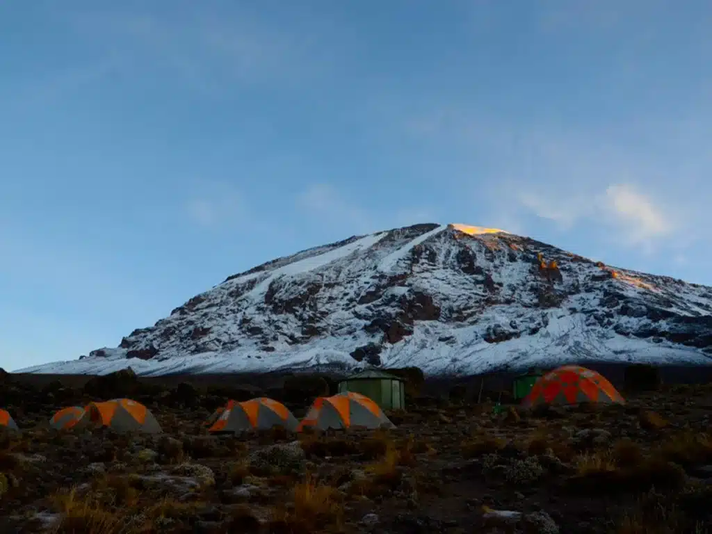 Trek Kilimanjaro