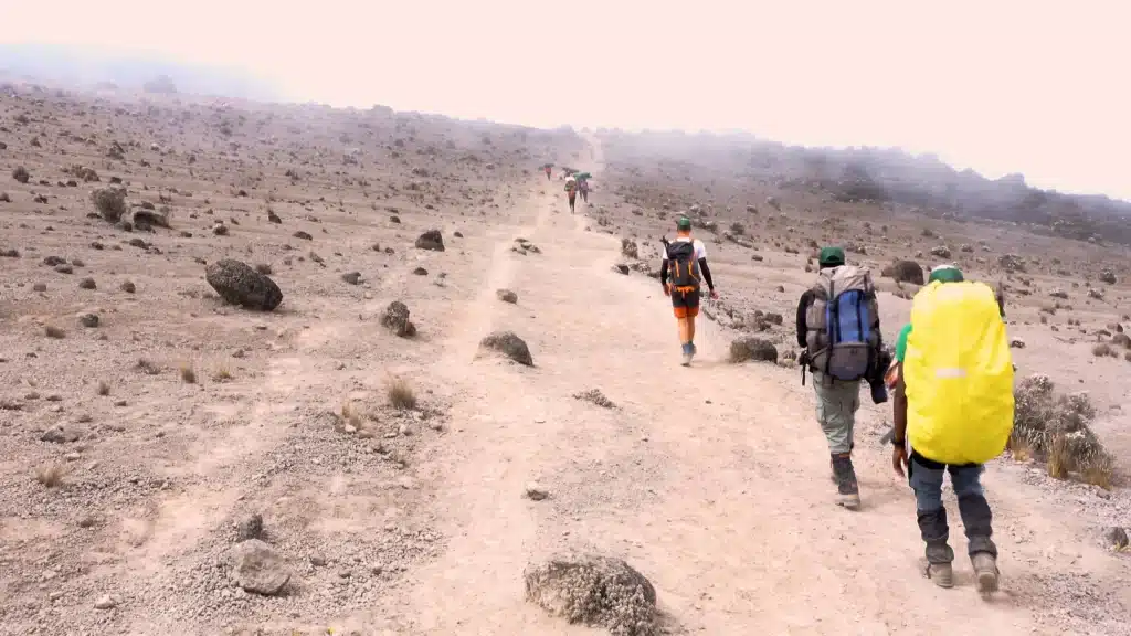 bookatrekking com kilimanjaro