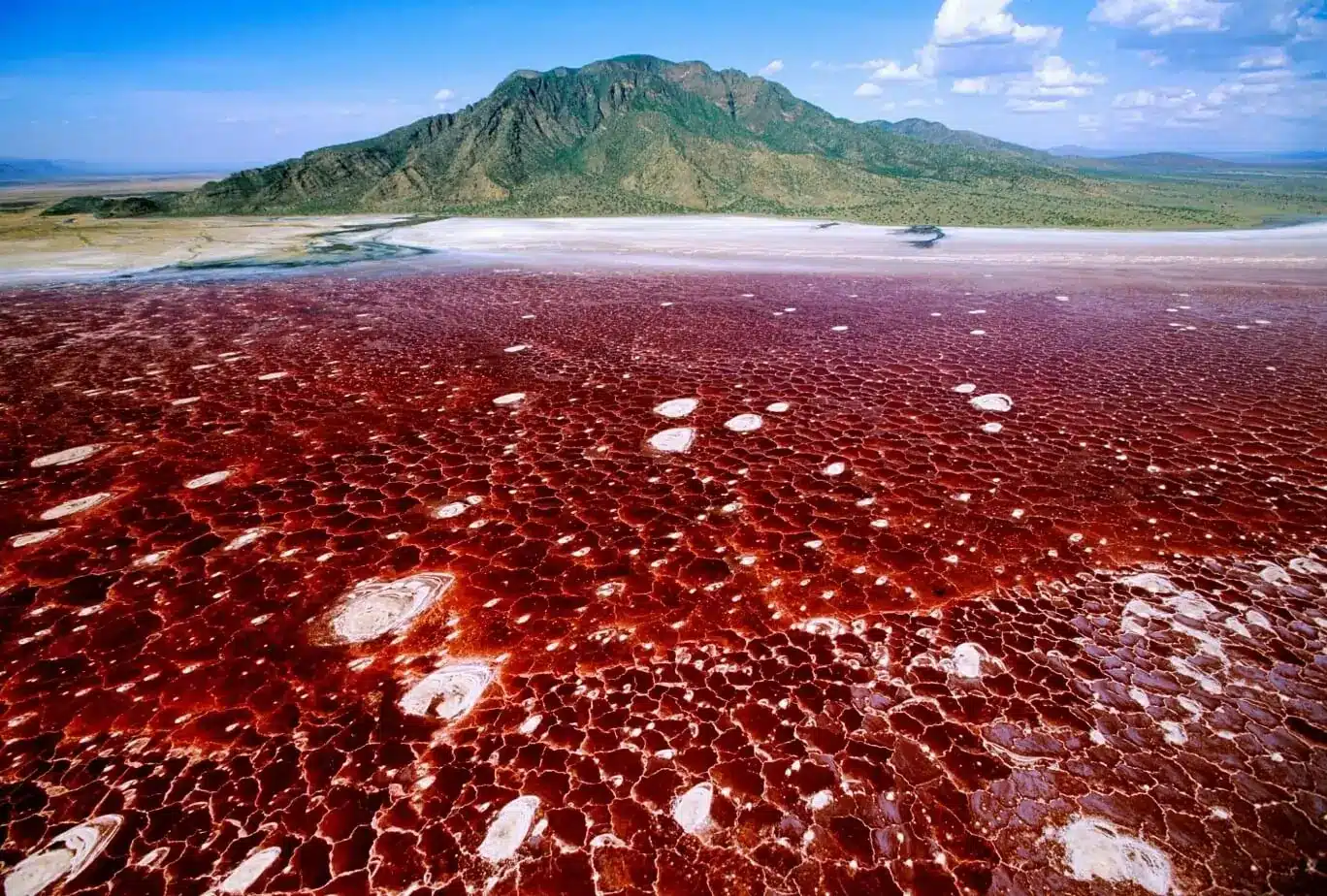 Lake Natron1