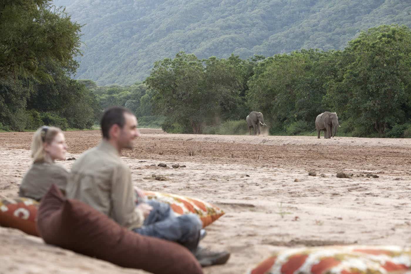 Manyara Green Camp