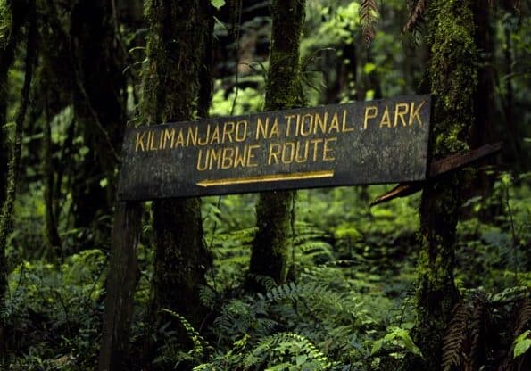 Mount Kilimanjaro