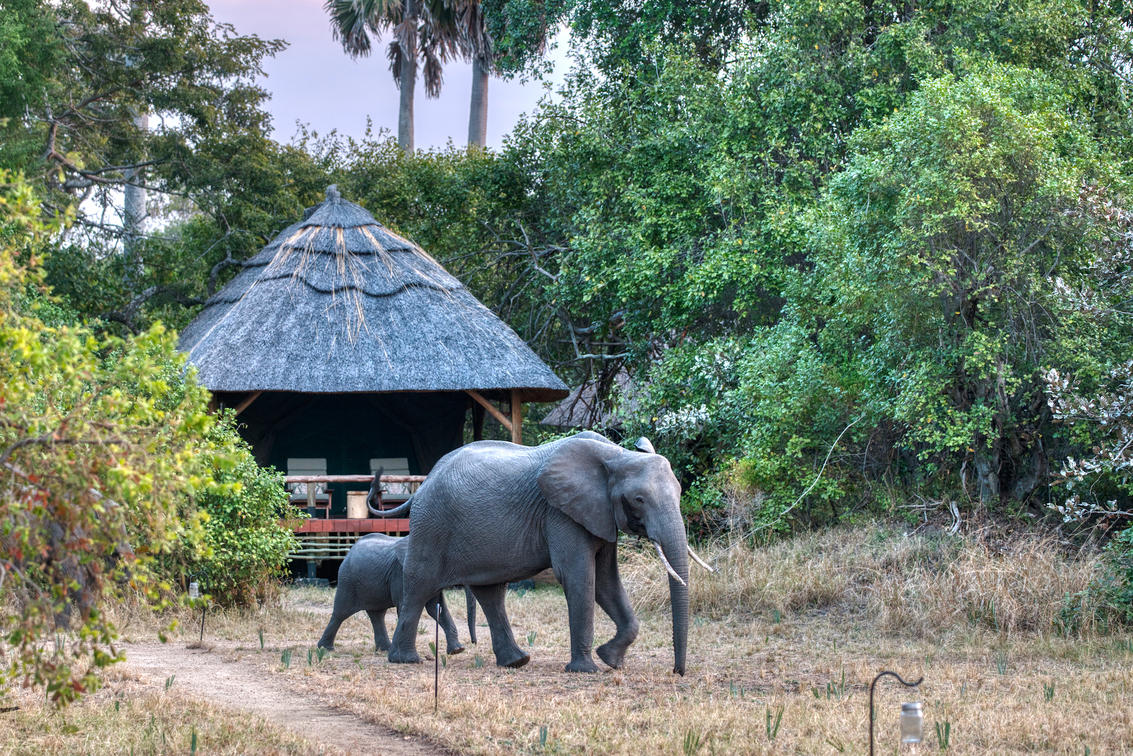 Mbali Mbali Katavi Lodge