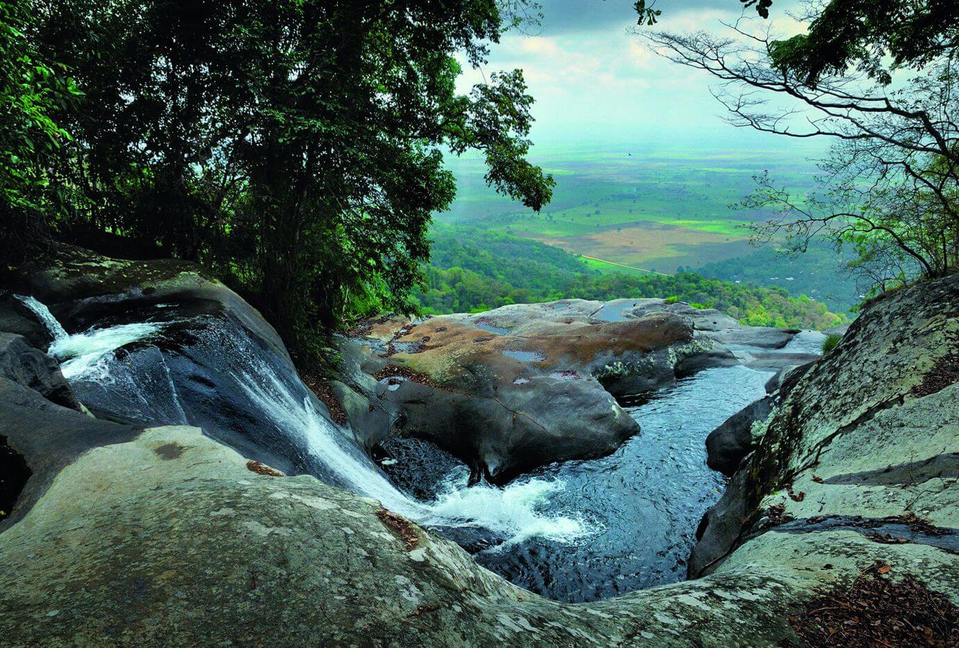 Udzungwa View