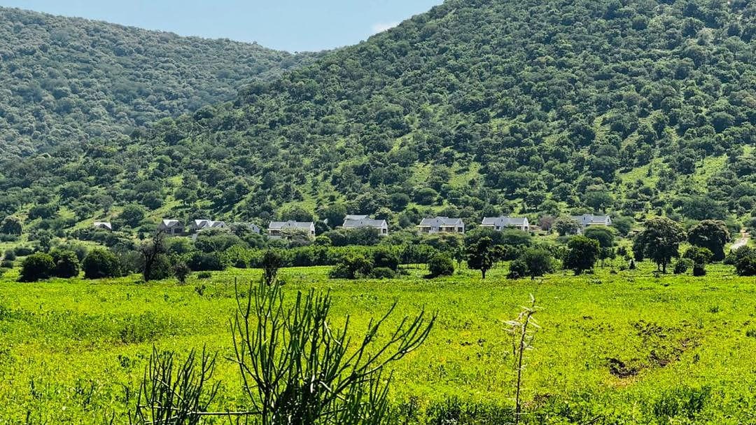 Tarangire Luxury Hideaway