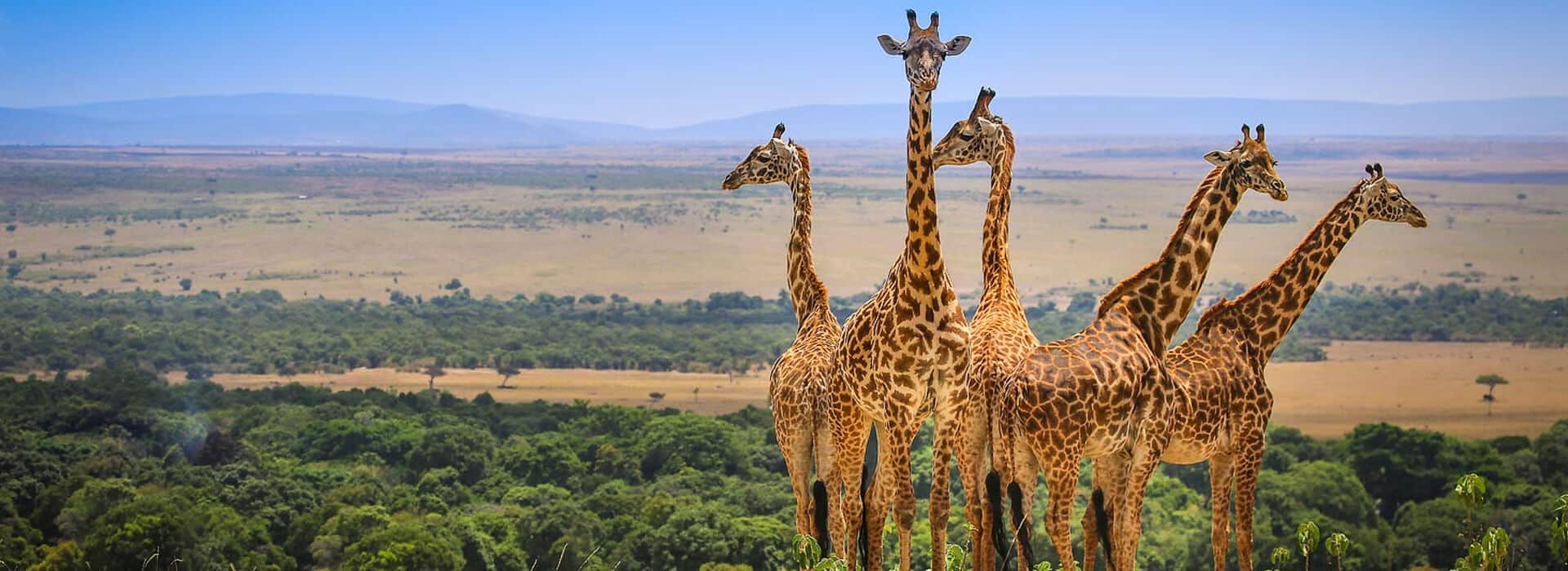 masai mara national reserve 1