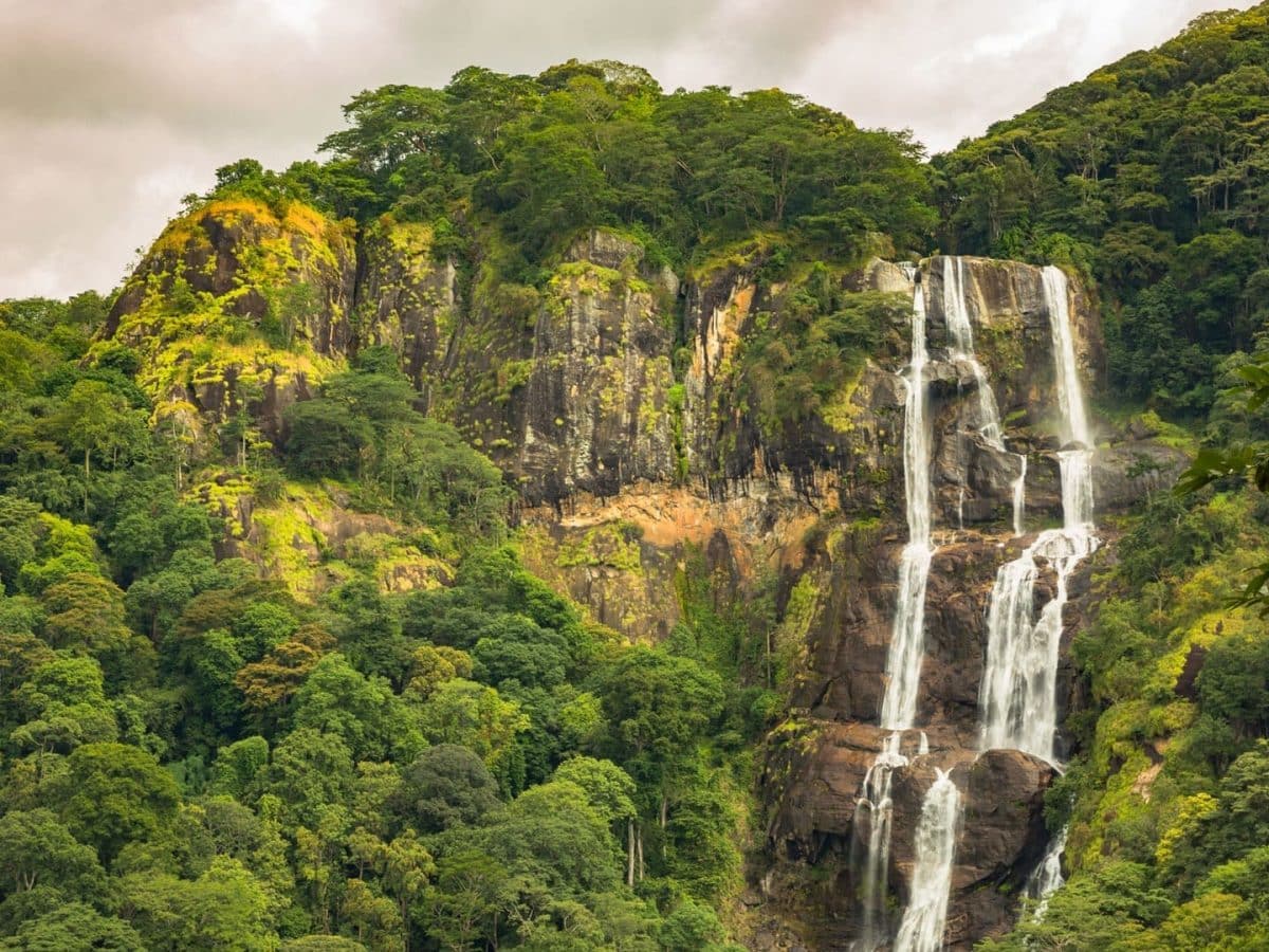 udzungwa mountains