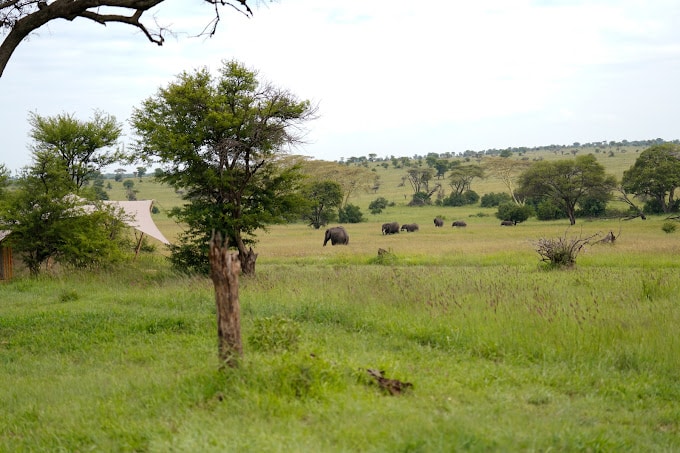 Anantya Serengeti Camp