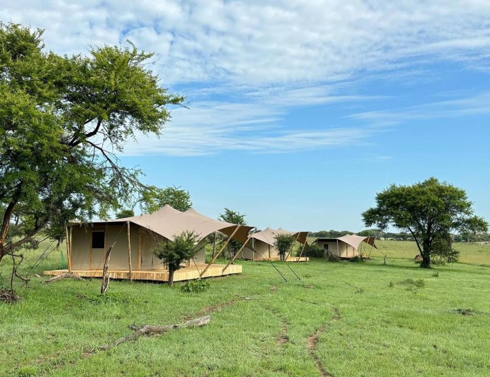 Anantya Serengeti Camp