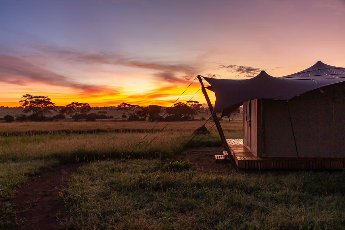 Anantya Serengeti Camp1