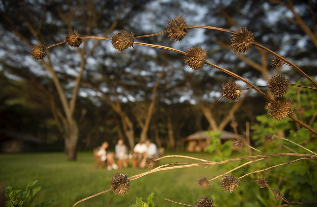 Mysigio Tented Camp