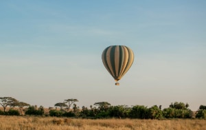 Serengeti Holiday Packages