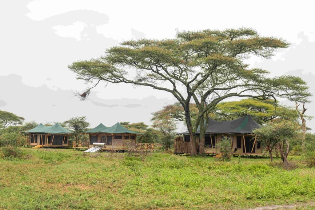 Enkutoto Migration Camp