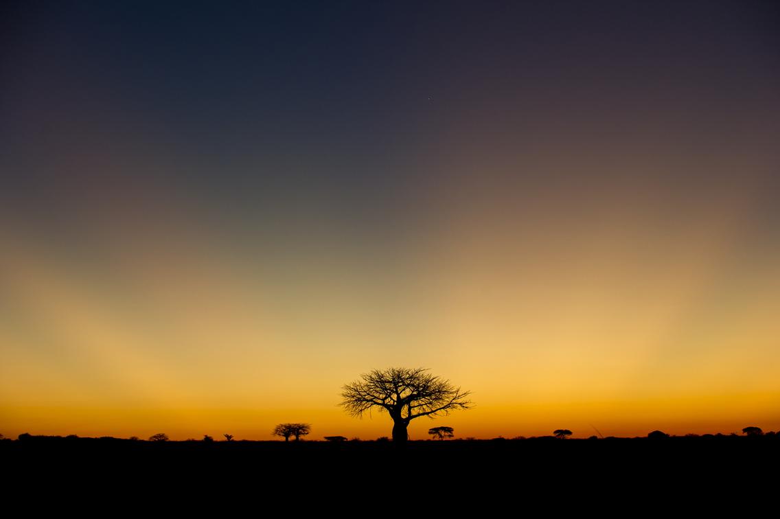 Kigelia Safari Camp