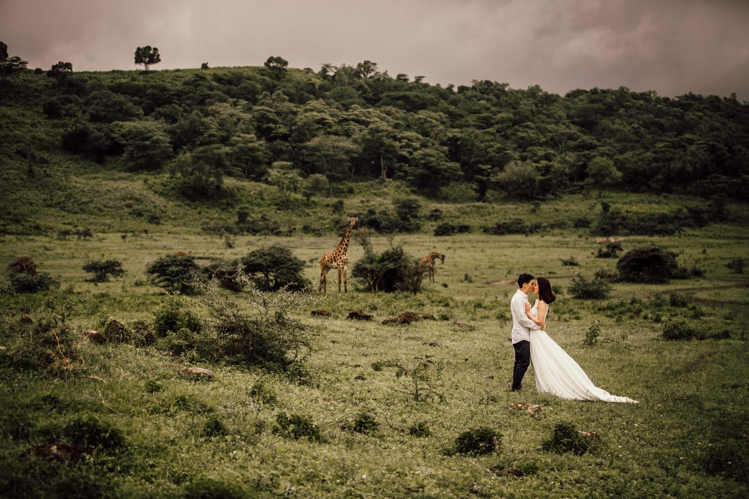 Luxury Wedding on Safari in Tanzania Luxury Wedding on Safari in Tanzania
