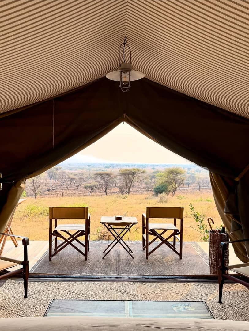 Out of Africa Laba Explorer 4