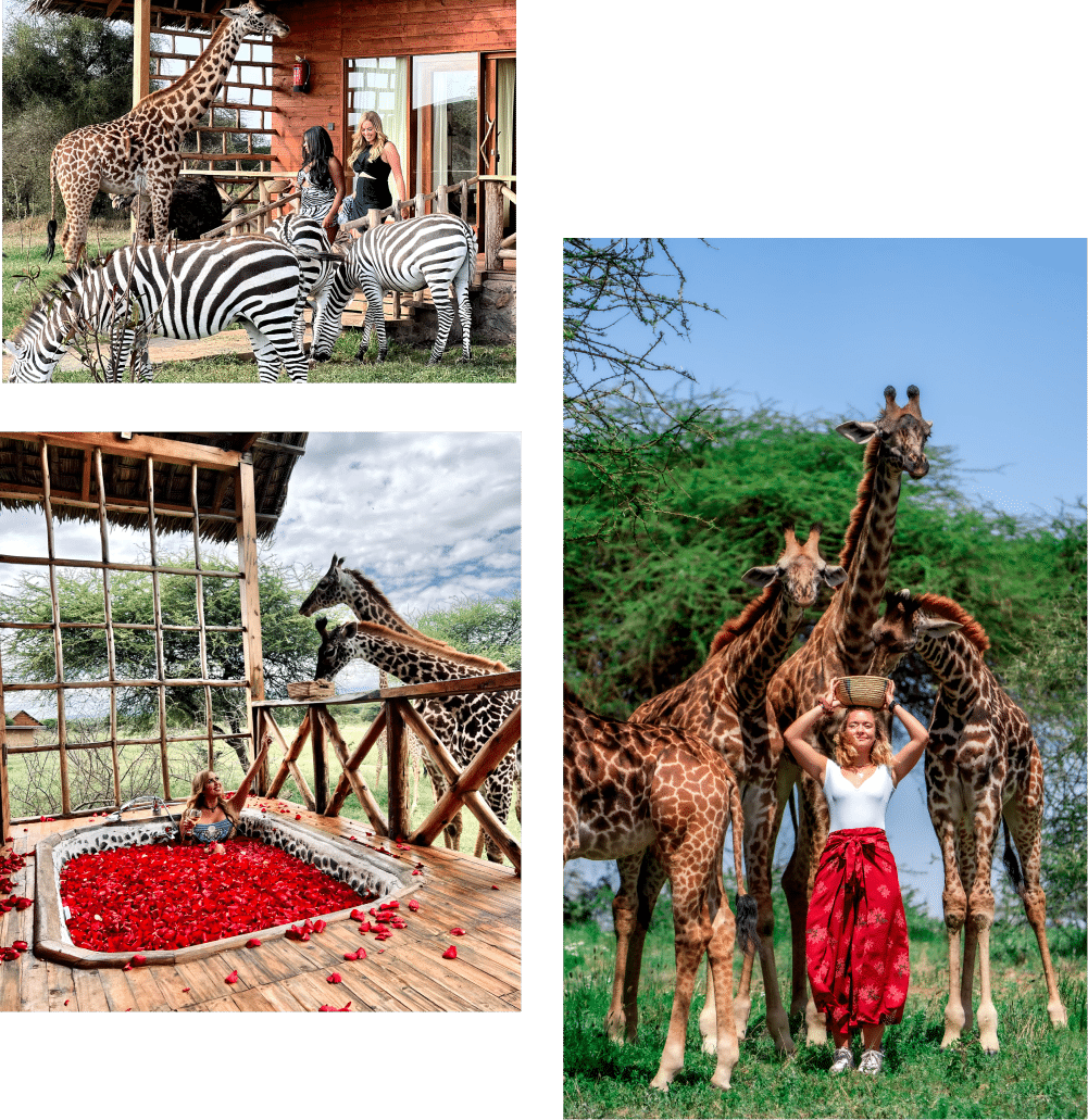 Serval Wildlife Lodge