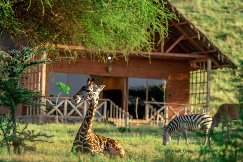 Serval Wildlife Lodge