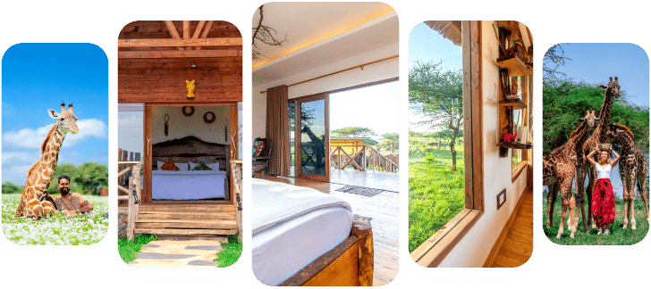 Serval Wildlife Lodge