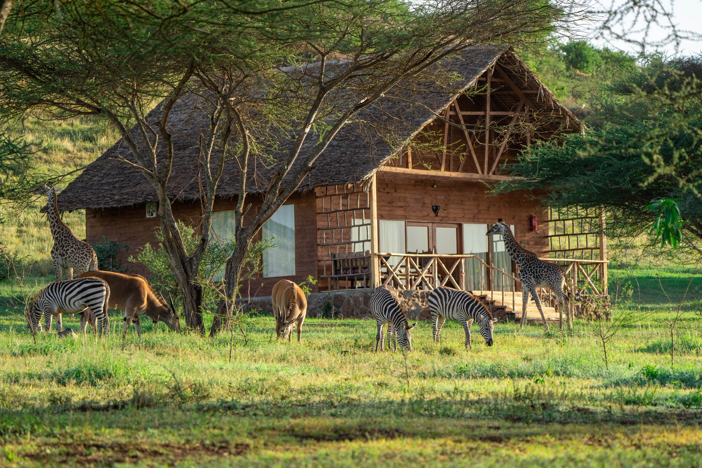 Serval Wildlife Lodge