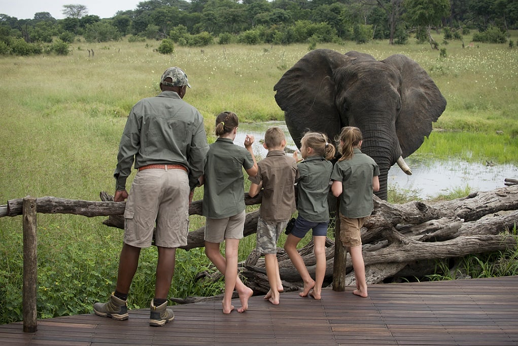 5 Common Mistakes to Avoid When Planning an African Safari