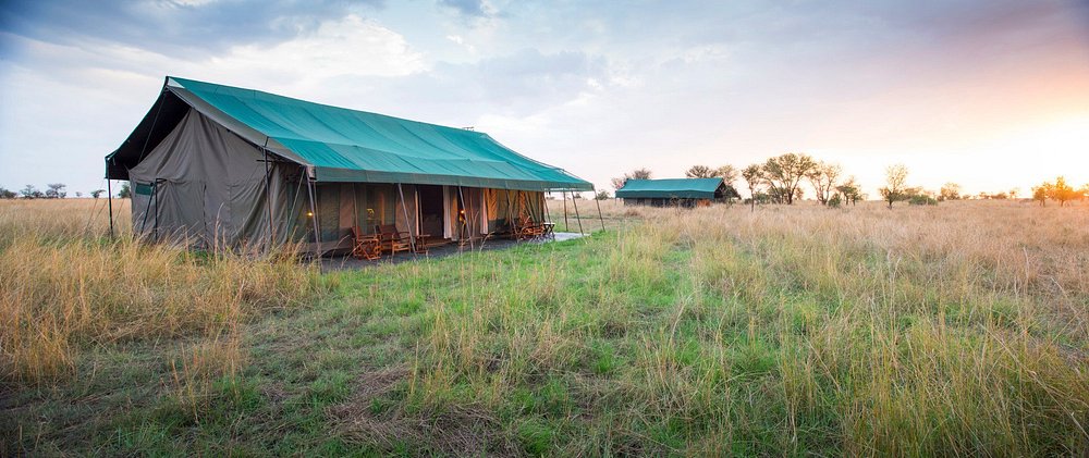 Chaka Camp