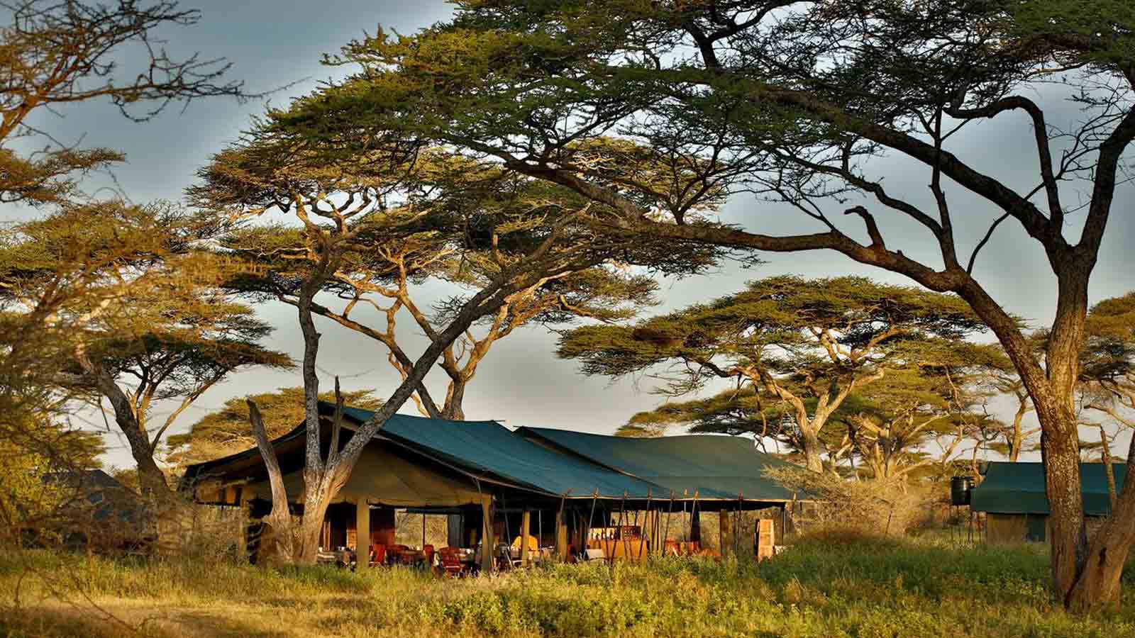 Chaka Camp