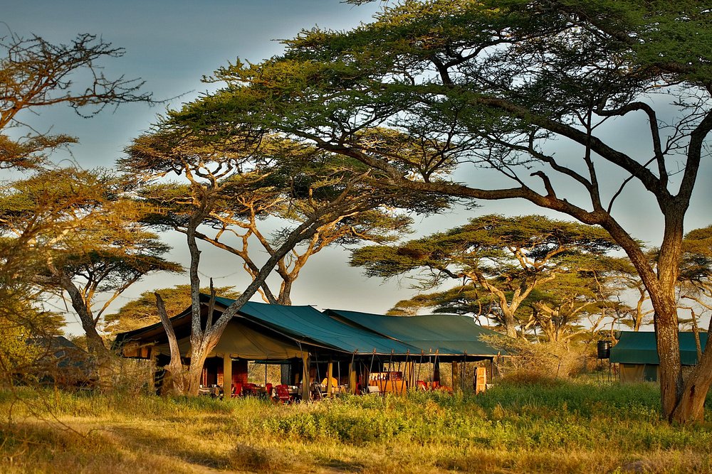 Chaka Camp