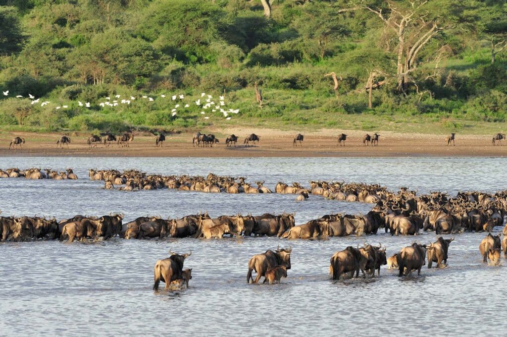 Serengeti National Park