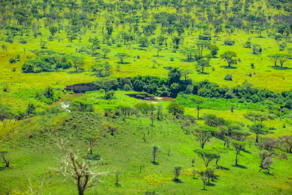 Serengeti Central Lodge (6)