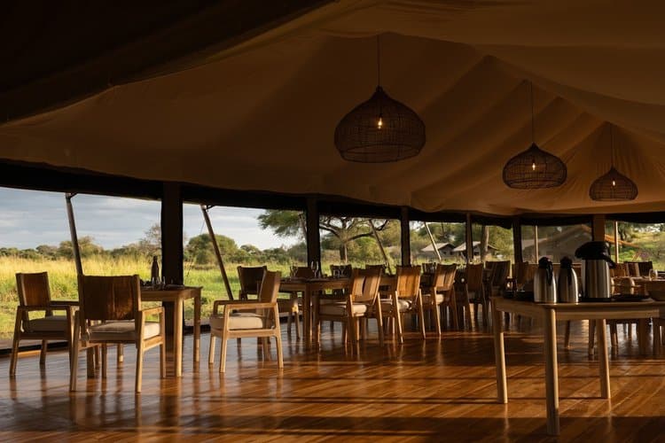 Conserve Safari Tarangire (3)