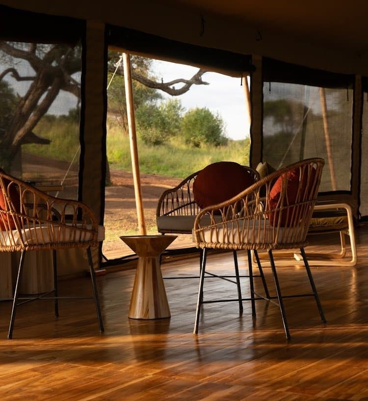Conserve Safari Tarangire (5)