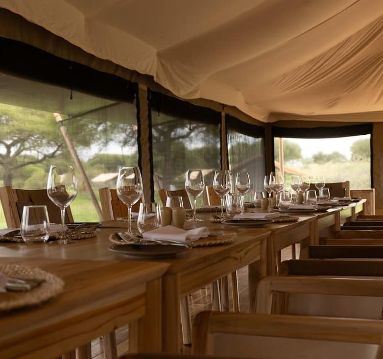 Conserve Safari Tarangire (9)