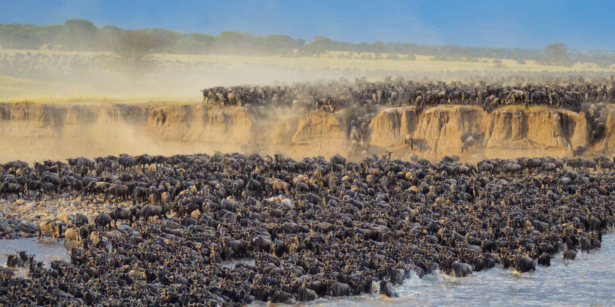 How to Plan a Budget Friendly Safari in Tanzania How to Plan a Budget Friendly Safari in Tanzania