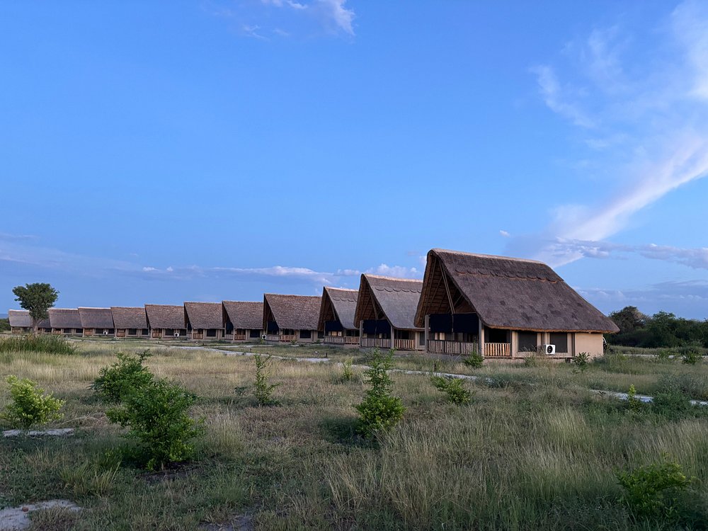 Lake Burunge Baobab Tented Lodge (18)