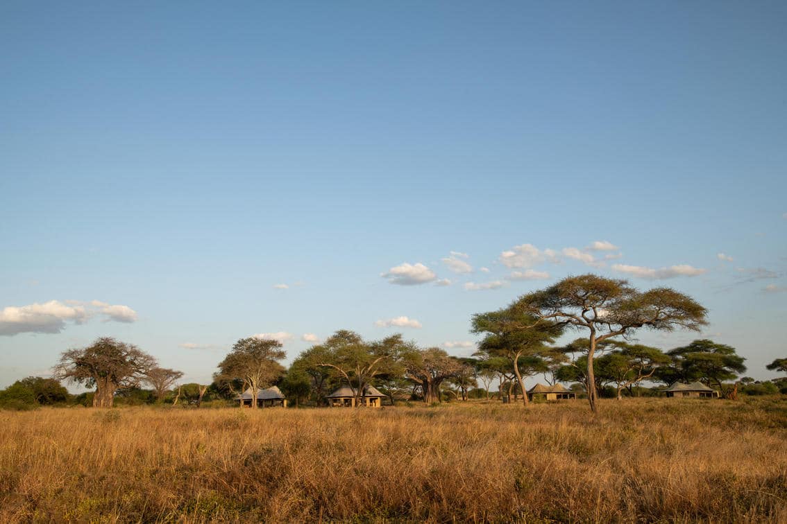 Lolkisale Camp (2)