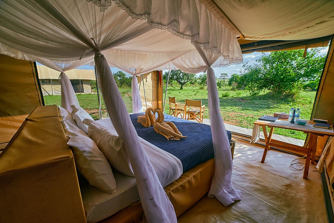 Pamoja Migration Camp (16)