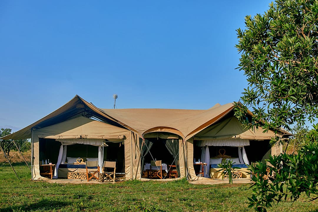Pamoja Migration Camp (17)