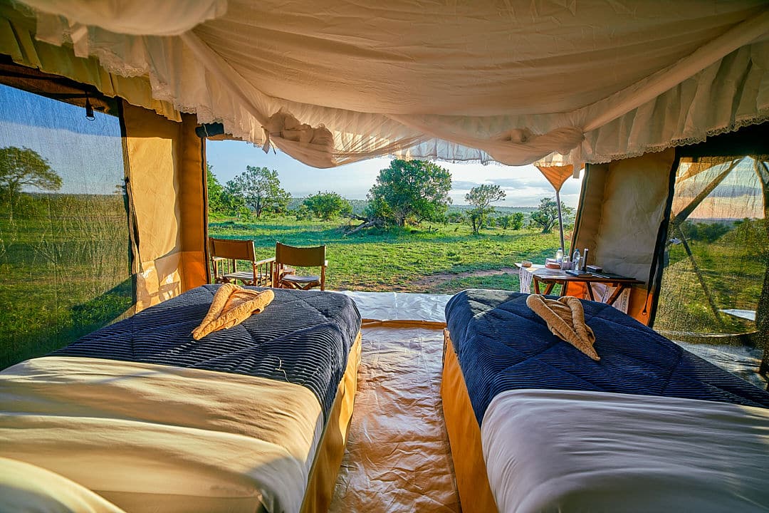 Pamoja Migration Camp (25)