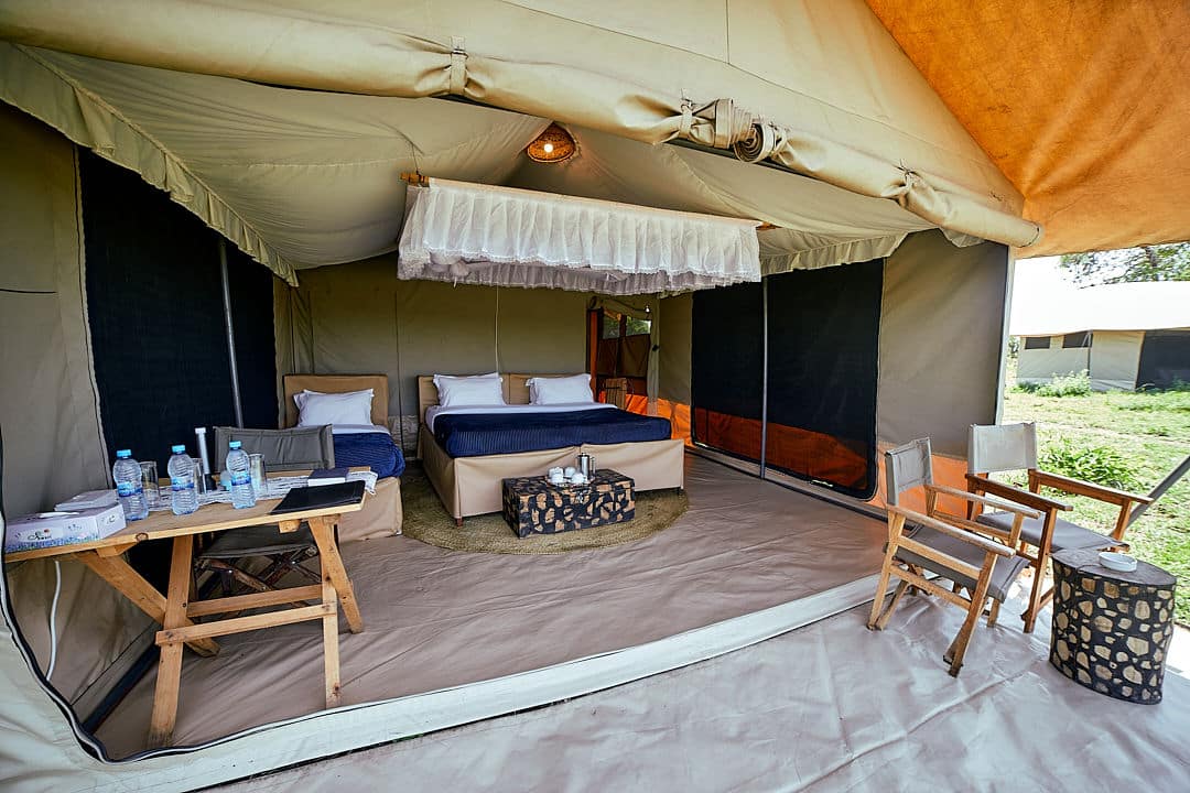 Pamoja Migration Camp (36)