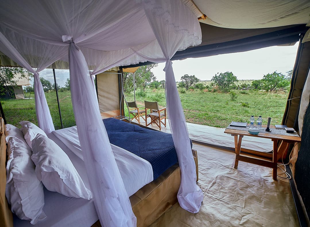 Pamoja Migration Camp (44)