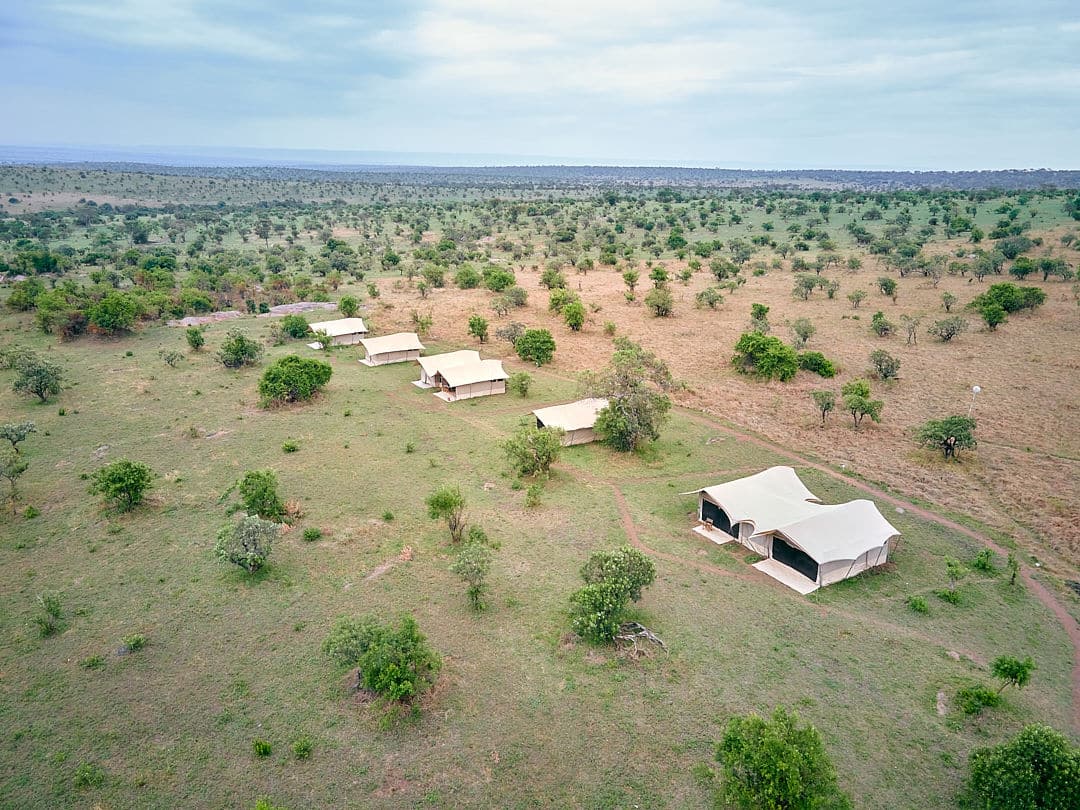 Pamoja Migration Camp (5)