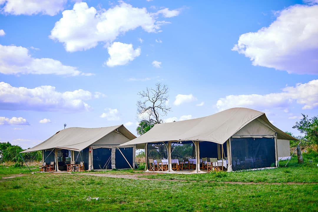 Pamoja Migration Camp (9)