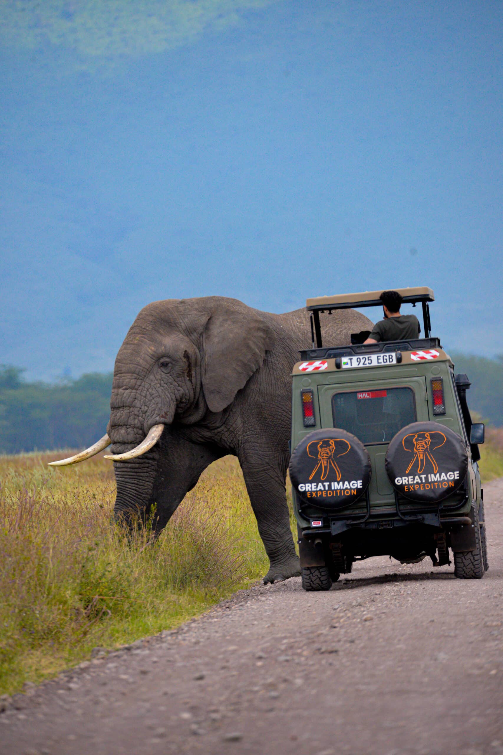 Tanzania Safari