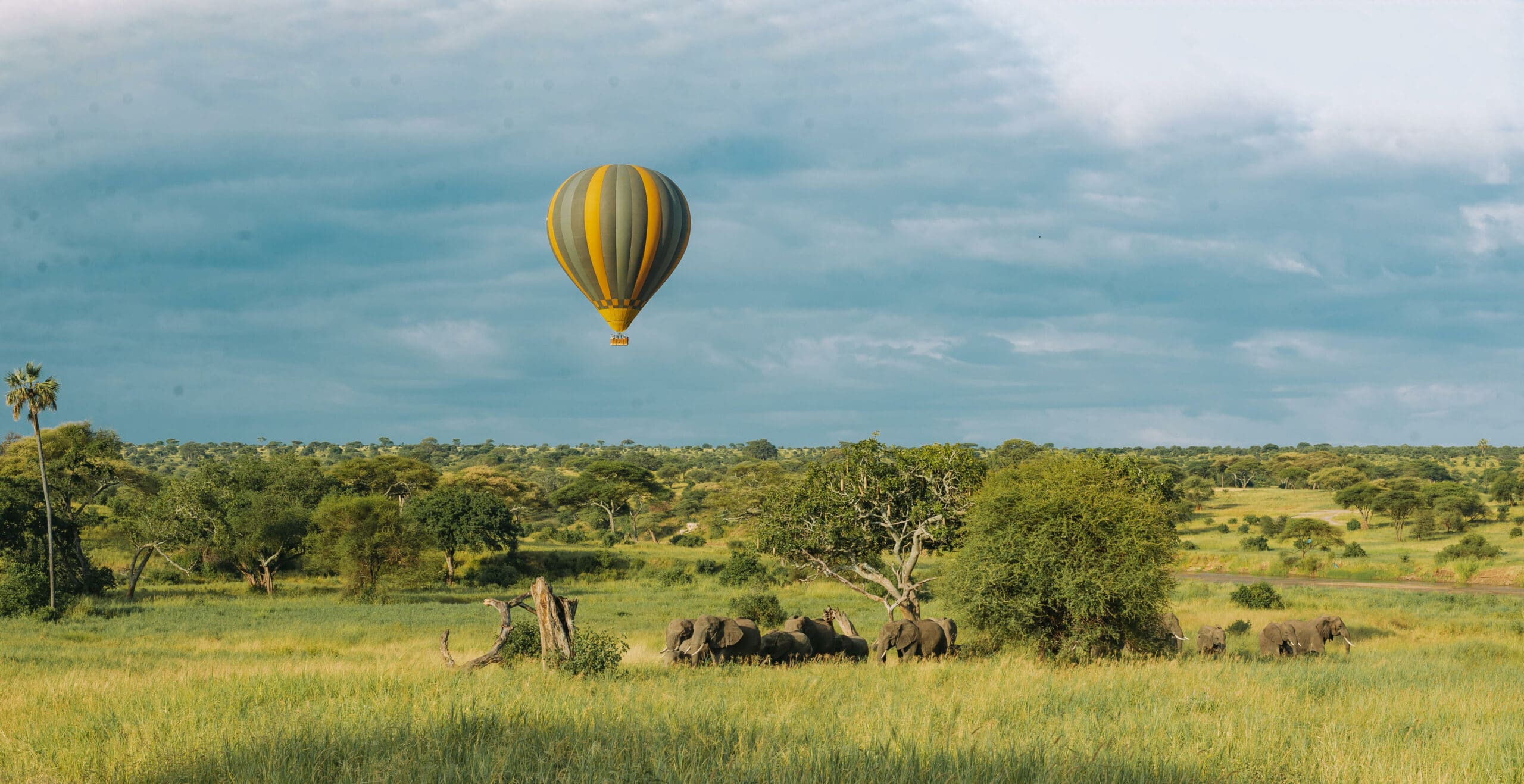 Tarangire Kati Kati Tented Camp (1)