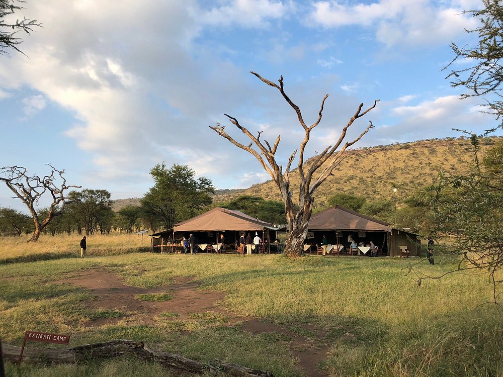 Tarangire Kati Kati Tented Camp 2