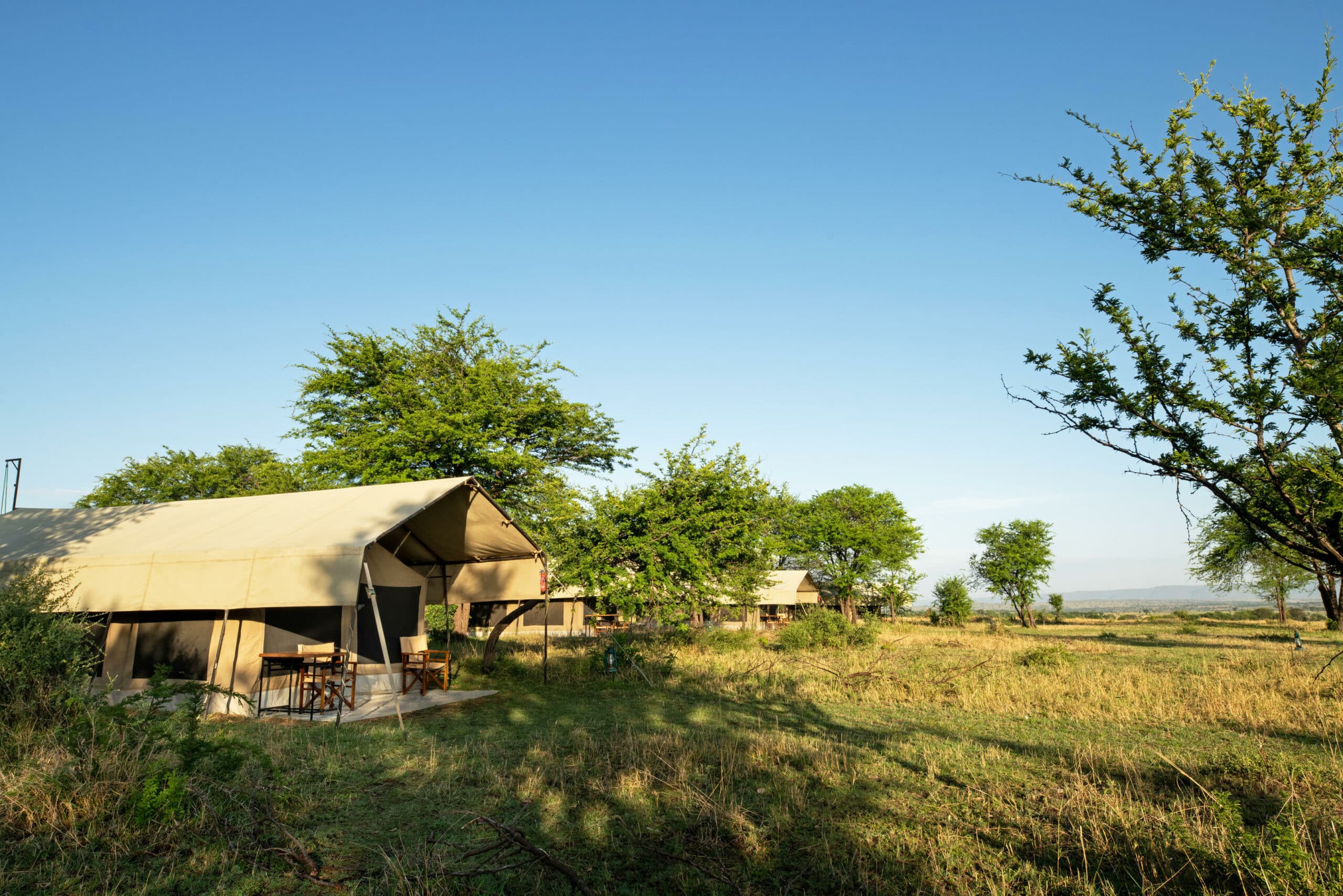 Tarangire Kati Kati Tented Camp (6)