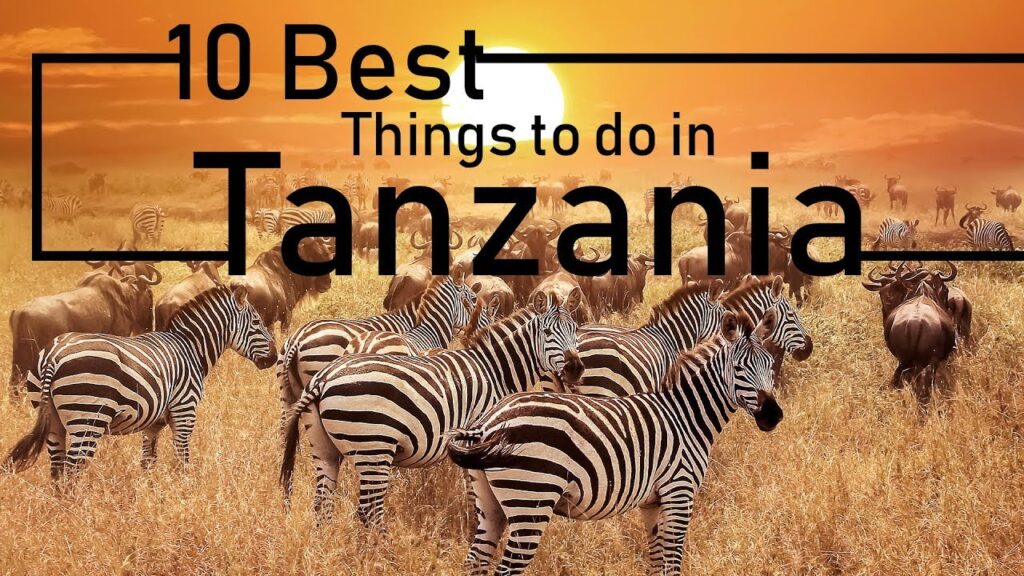 What to Do in Tanzania Africa