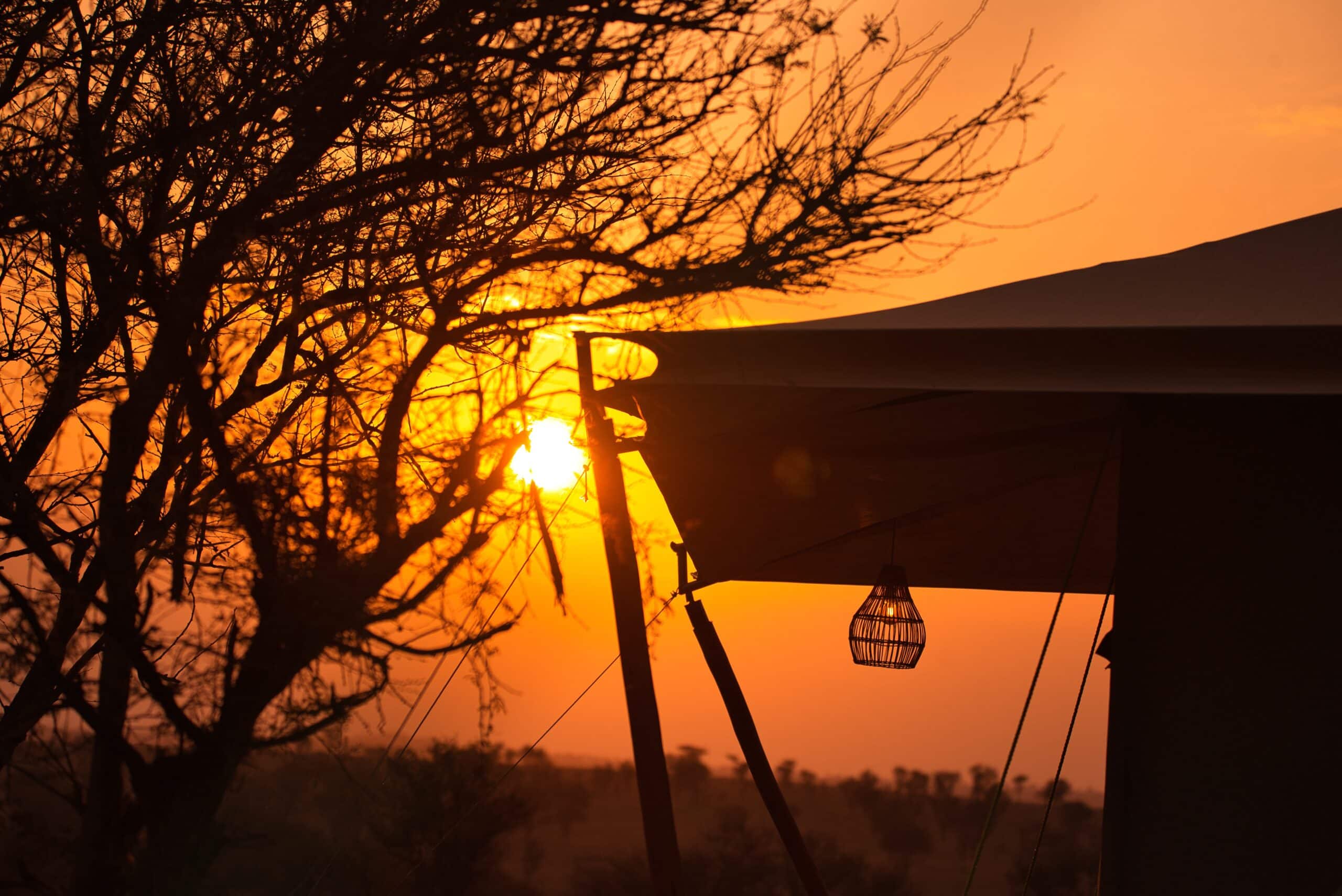 Wildlux Serengeti Camp (18)