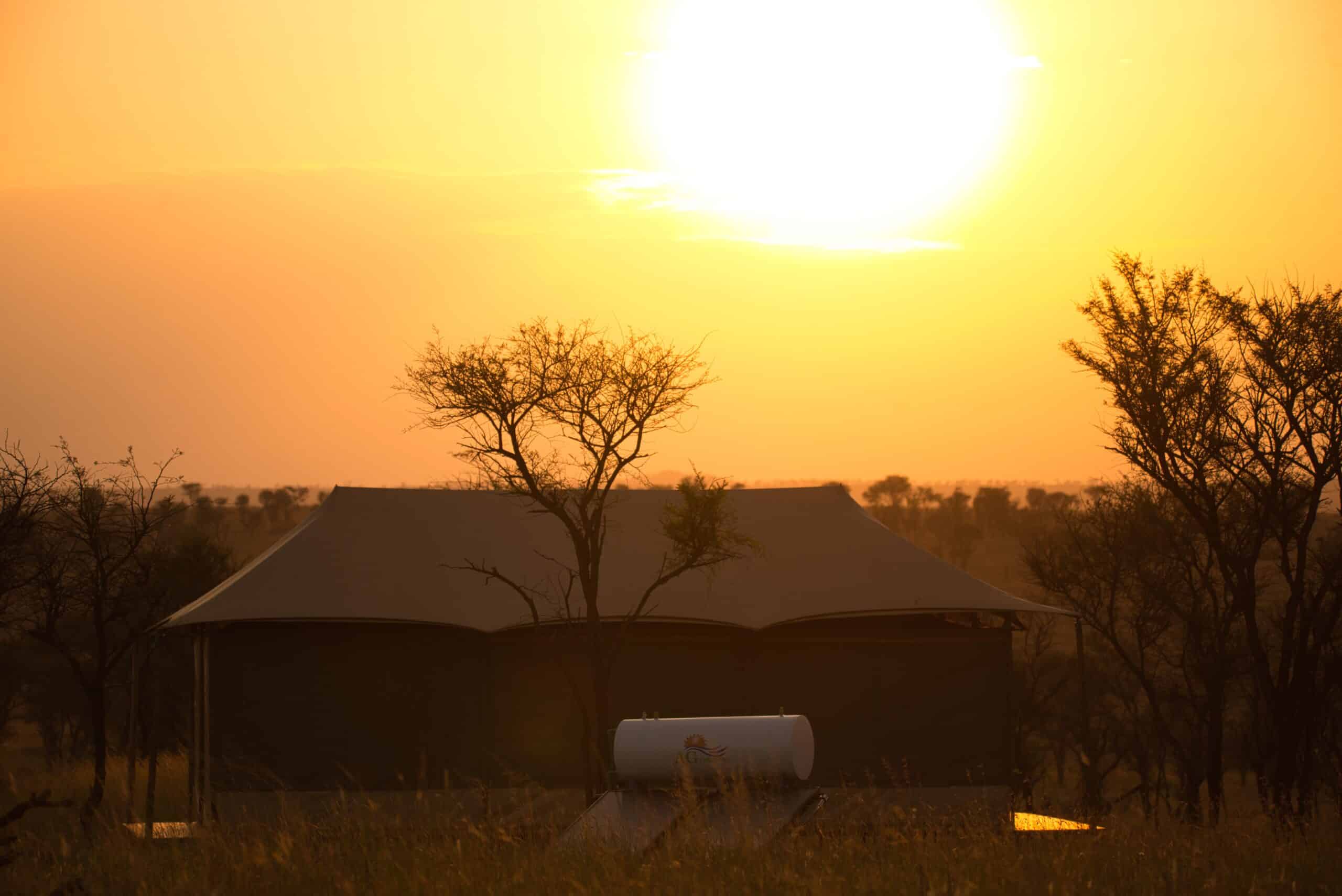 Wildlux Serengeti Camp (22)